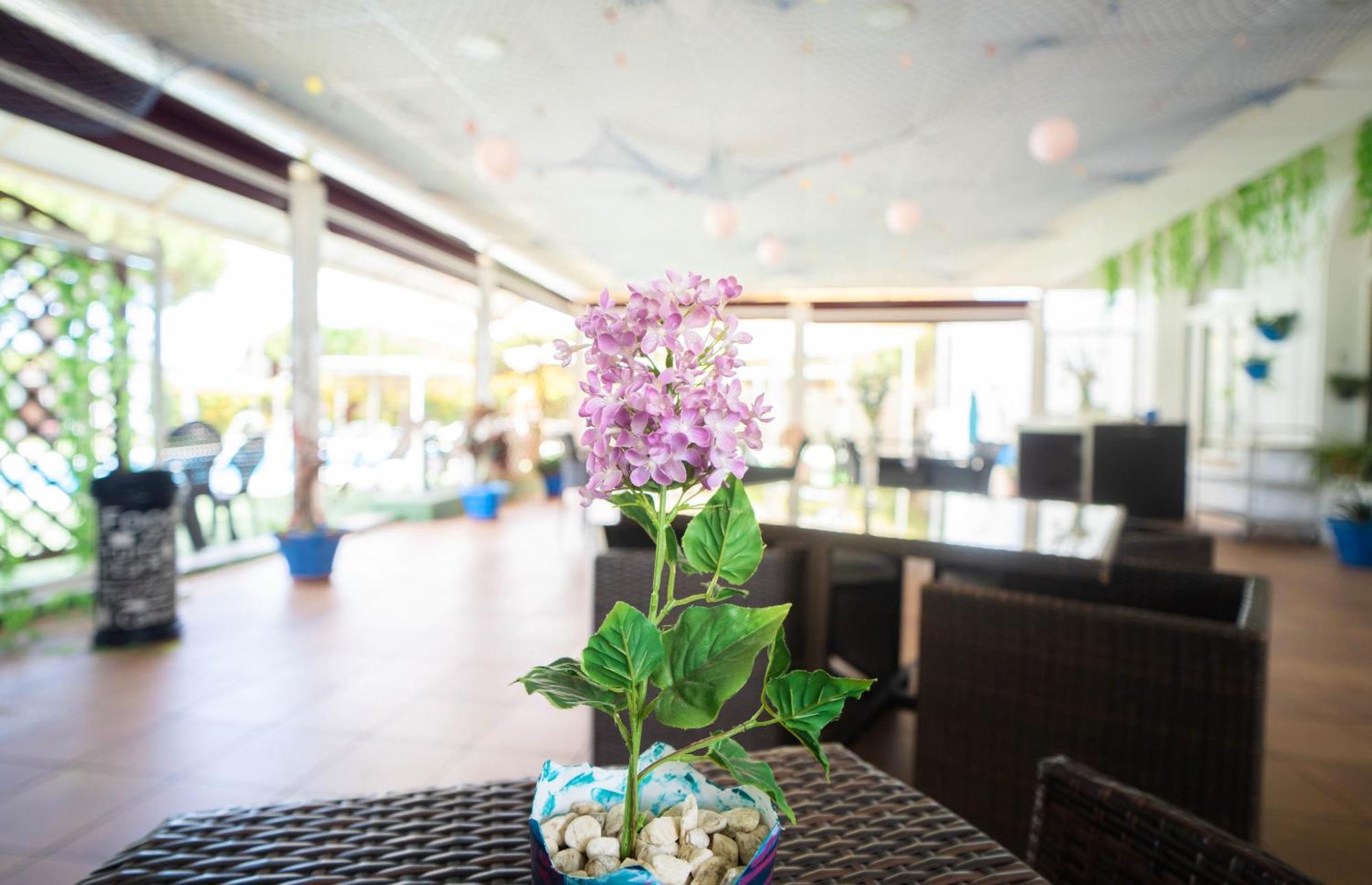Hotel Albaida Nature Mazagon Exterior photo